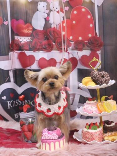 20250228メイちゃん